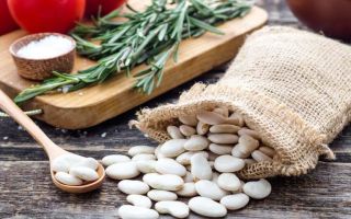 Mengapa kacang putih berguna, sifat dan penyediaannya