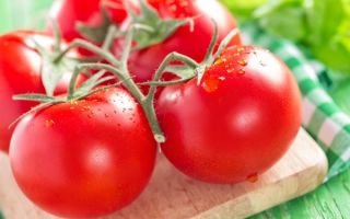 Perché i pomodori sono utili per il corpo
