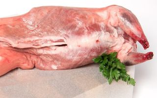 Perché la carne di nutria è utile, le proprietà curative dei grassi