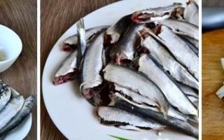 ทำไมปลาทะเลชนิดหนึ่งถึงมีประโยชน์และวิธีปรุงในซอสมะเขือเทศ
