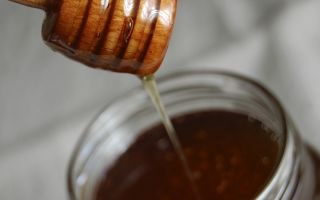 Zčernalý med: užitočné vlastnosti a kontraindikácie