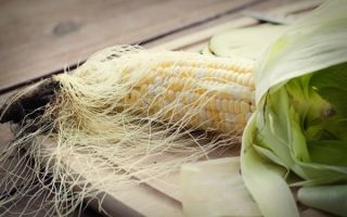 Maisseide: Nutzen und Schaden, Gebrauchsanweisung