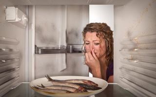 كيفية إزالة رائحة السمك من الثلاجة