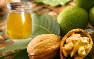 Walnut oil: mga benepisyo at pinsala, kung paano kumuha