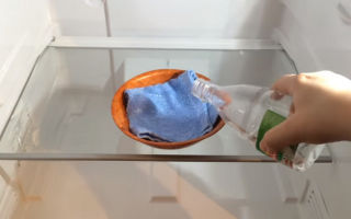 Skimmelsvamp i køleskabet: hvad der er farligt, og hvordan man hurtigt kan slippe af med