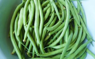 How are green beans useful, diet recipes