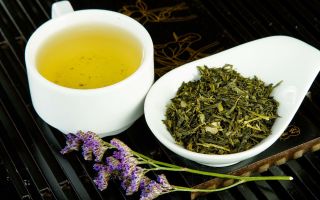 Sencha tea (sencha): φαρμακευτικές ιδιότητες και αντενδείξεις
