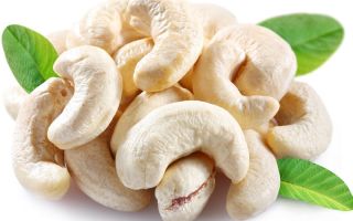 Cashewnødder: nyttige egenskaber og kontraindikationer