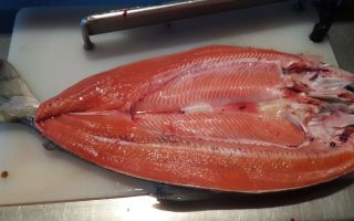 Chum žuvis: nauda ir žala, cheminė sudėtis, kontraindikacijos