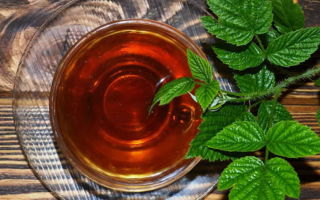 Lợi ích và tác hại của trà lá mâm xôi