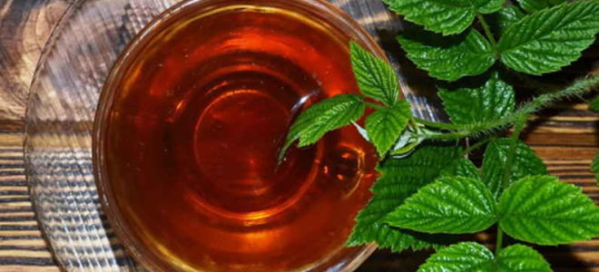 Beneficiile și daunele ceaiului din frunze de zmeură