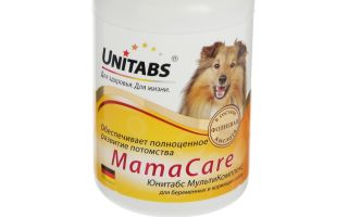 Vitamines pour chiennes gestantes de petites, moyennes et grandes races