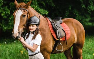 Die Vor- und Nachteile des Pferdesports, Bewertungen