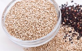 Blagodati i štete kvinoje za tijelo