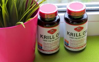 Mengapa minyak krill bermanfaat