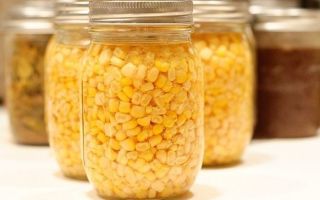 Konservuoti kukurūzai: nauda ir žala, kalorijos