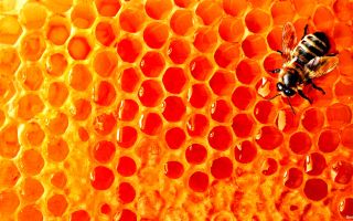 Tại sao mật ong trong lá lược lại có công dụng, cách sử dụng, ăn lá lược được không
