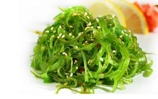 Chuk algae: mga benepisyo at pinsala