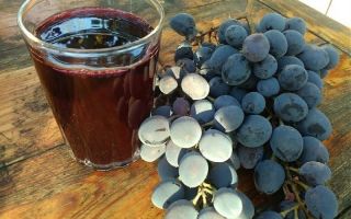 Jus de raisin: avantages et inconvénients, recettes simples