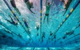 מדוע שחייה בבריכה מועילה