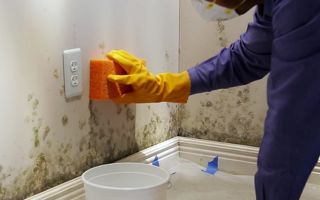 Hoe schimmel op de muren in een appartement te verwijderen