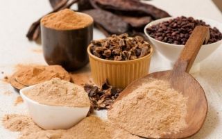 Carob fruits: benefits and harms, properties, how to use, photo