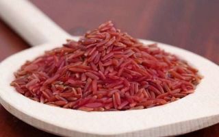 لماذا الأرز الأحمر مفيد لك