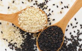 Sesamöl: Nutzen und Schaden, wie man nimmt