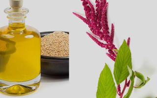 Amarantový olej: výhody a škody, ako užívať