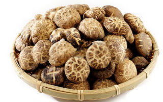 Shiitake-svampe: fordele og skader, anvendelse