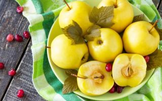 Warum eingeweichte Äpfel nützlich sind, wie man sie für den Winter kocht