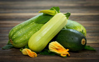 Apa faedah zucchini untuk badan