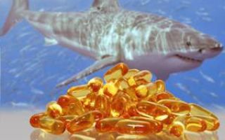 Tại sao dầu cá mập lại hữu ích?