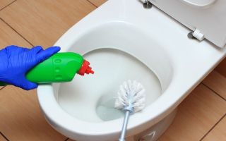 Kaip plauti rūdis tualete: liaudies ir specializuotos priemonės