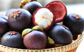 Mangosten: meyvenin yararlı özellikleri, fotoğraf, kalori içeriği, kontrendikasyonlar