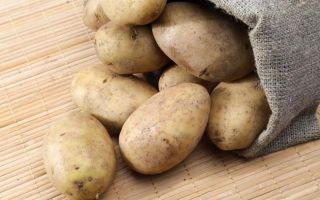 Pommes de terre: propriétés utiles et contre-indications