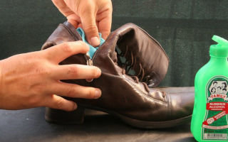 Sådan fjernes svamp fra sko: hvordan man behandler det derhjemme