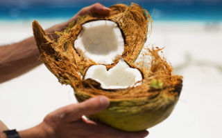 Kookospähkinä kookos patjassa: edut ja haitat, arvostelut