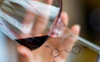 Kodėl sieros dioksidas dedamas į vyną, poveikis organizmui