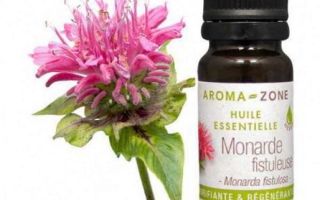 Properties and uses of Monarda essential oil