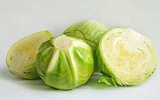 Beyaz lahana neden faydalıdır, özellikleri ve hazırlanması