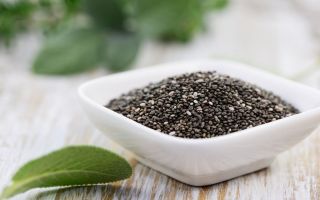 Chia-zaden: voor- en nadelen, hoe te gebruiken voor gewichtsverlies, recepten