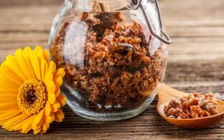 What propolis helps from, useful properties and contraindications, how to take