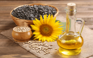 Slnečnicový olej: výhody a poškodenie, zloženie, ktoré je lepšie