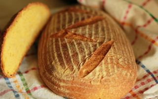لماذا خبز الذرة مفيد ، ومحتوى التكوين والسعرات الحرارية