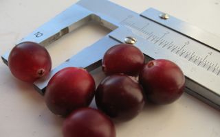 Ang mga pakinabang ng cranberry para sa katawan
