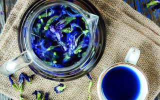 Blauwe thee uit Thailand: gunstige eigenschappen, chemische samenstelling, contra-indicaties