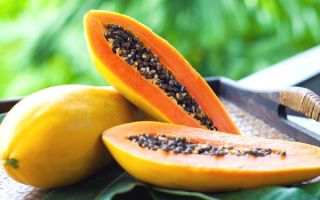 Papaya: proprietăți benefice și contraindicații