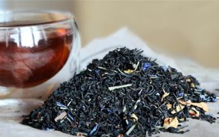 Bergamoto arbata: naudingos savybės ir kontraindikacijos