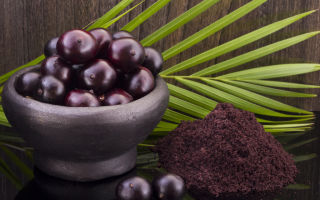 Acai berry: faydalı özellikleri ve kontrendikasyonları